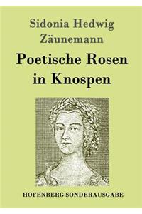 Poetische Rosen in Knospen