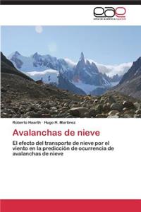 Avalanchas de nieve