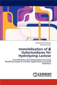 Immobilization of β Galactosidases for Hydrolyzing Lactose