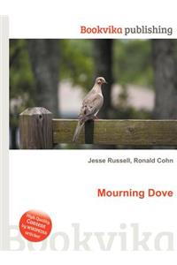 Mourning Dove