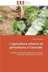 L agriculture urbaine et périurbaine à yaoundé