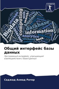 Общий интерфейс базы данных