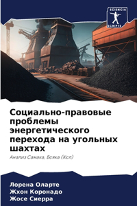 Социально-правовые проблемы энергетичес&