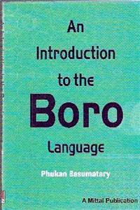 An Introduction to the Boro Language