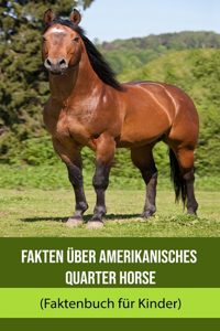 Fakten über Amerikanisches Quarter Horse (Faktenbuch für Kinder)