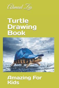 Turtle Drawing Book