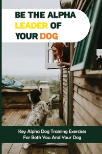 Be The Alpha Leader Of Your Dog
