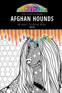 Afghan Hounds