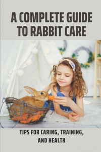 A Complete Guide To Rabbit Care