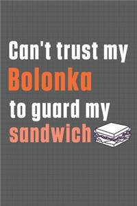 Can't trust my Bolonka to guard my sandwich