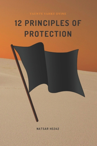 12 Principles of Protection