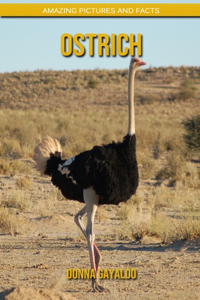 Ostrich