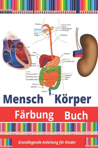 Mensch Körper Färbung Buch