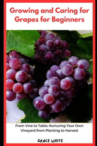 Growing and Caring for Grapes for Beginners