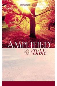 Amplified Bible-AM