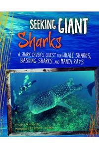 Seeking Giant Sharks