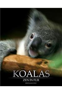 Koalas