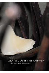 Gratitude Is The Answer