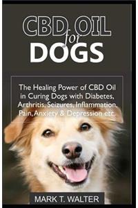 CBD Oil for Dogs