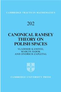 Canonical Ramsey Theory on Polish Spaces