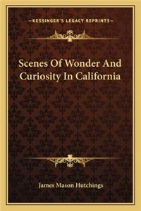 Scenes of Wonder and Curiosity in California