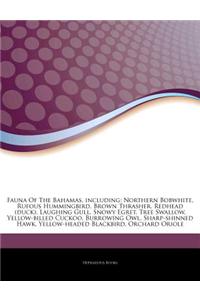 Articles on Fauna of the Bahamas, Including