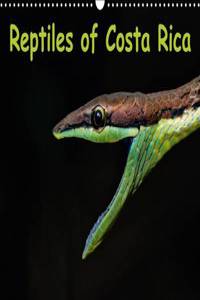 Reptiles of Costa Rica / UK-Version 2017