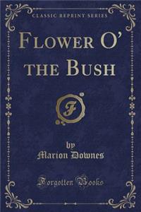 Flower O' the Bush (Classic Reprint)