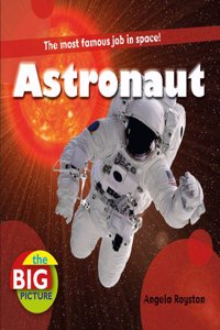 Astro0ut (The Big Picture) Hardcover