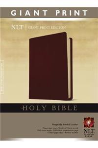 Giant Print Bible-NLT