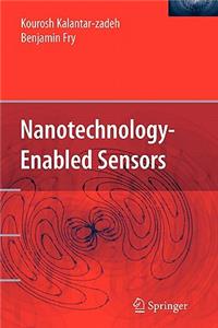 Nanotechnology-Enabled Sensors