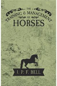 The Training and Management of Horses