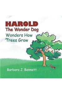 Harold The Wonder Dog Wonders How Trees Grow