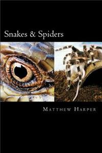 Snakes & Spiders