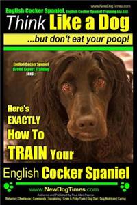 English Cocker Spaniel, English Cocker Spaniel Training AAA AKC