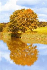 Mind Blowing Lake View Journal