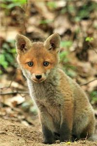 MindBlowing Cut Animal Fox Journal 13