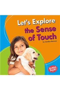 Let's Explore the Sense of Touch
