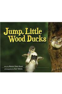 Jump, Little Wood Ducks