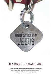 Domesticated Jesus