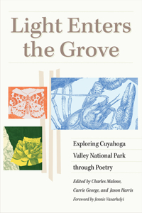 Light Enters the Grove: Exploring Cuyahoga Valley National Park Through Poetry