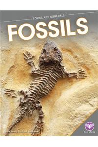 Fossils