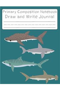 shark notebook and drawing space