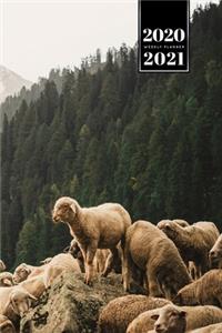 Sheep Lamm Shepherd Herder Farmer Week Planner Weekly Organizer Calendar 2020 / 2021 - High Mountains