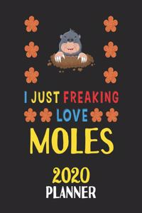 I Just Freaking Love Moles 2020 Planner