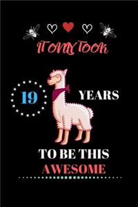 It Only Took 19 Years to be this Awesome