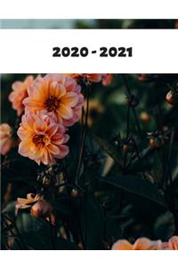 2020-2021
