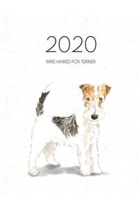 2020 Wire Haired Fox Terrier