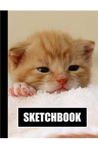 Sketchbook