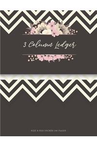 3 Column Ledger